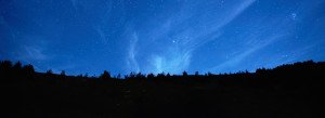 Tress and night sky